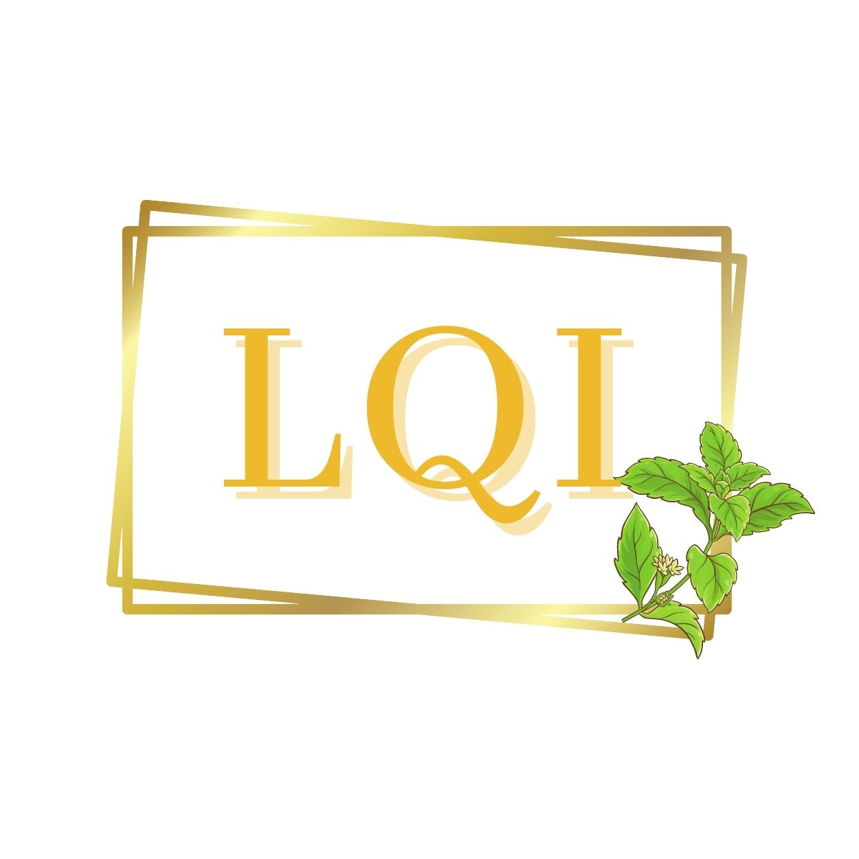 
			LQI Logo
		